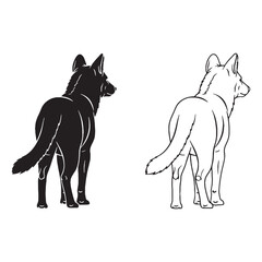 Refined Dhole Silhouette & Dhole Lineart – Dhole Vector Artwork Displaying Clean Wild Canid Design – Dhole Illustration – Silhouette and Lineart Set of Dhole

