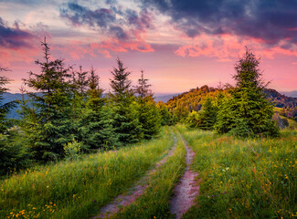 Exciting evening view of mountain countryside with old country road to the down. Fantastic summer...