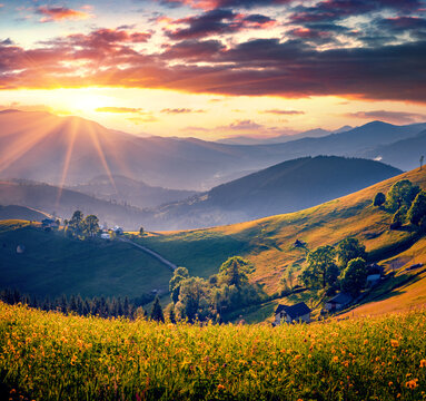 Great evening view of Carpathian valleys in the last sunlight. Magnificent summer sunset on mlk farm, Ukraine, Europe. Beauty of countryside concept background.