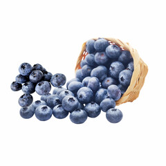 Ripe Organic Blueberries – Clipping Path Included