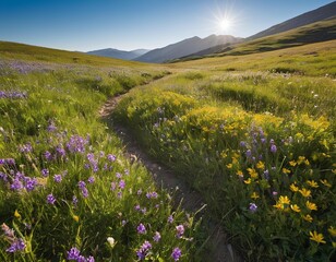 Obraz premium Mountain Wildflower Meadow in Spring 
