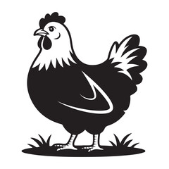 Hen rooster and chicken vector illustration of farm birds isolated on white