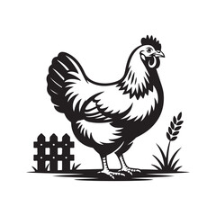 Hen and rooster cartoon vector illustration of farm birds isolated on white