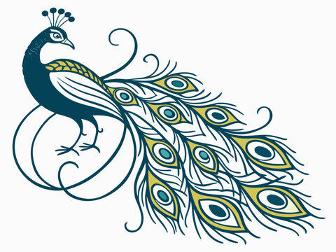 LOGO design of pecock , Elegant Peacock Logo Design with Colorful Feathers

Luxury Peacock Bird Logo Symbol for Brand Identity

Creative Peacock Logo with Abstract Feather Style