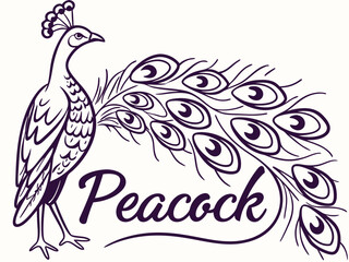 Fototapeta premium Royal Elegance – Modern Peacock Logo DesignColorful Majesty – Luxury Peacock Branding ConceptElegant Feathers – Creative Peacock Logo Inspiration