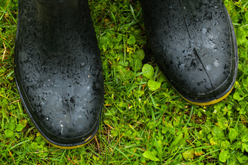 rubber boots on wet grass after rain