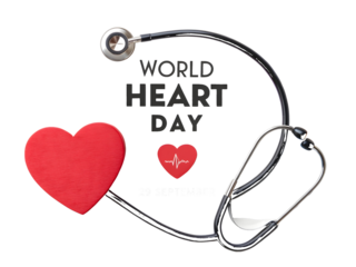 Red heart and stethoscope with text World Heart Day and electrocardiogram isolated on a transparent background