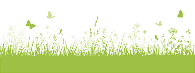 Fototapeta premium Green grass and wildflowers with butterflies and dragonflies on white nature meadow