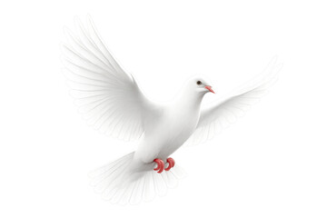 Obraz premium White dove soaring, spreading wings gracefully, representing peace, spiritual harmony against translucent backdrop