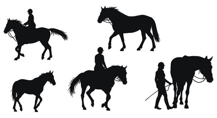 Horse Silhouettes Collection Equestrian Activities and Poses Black and White Vector Set