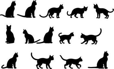 Black Cat Silhouette Collection vector