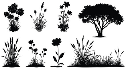 Fototapeta premium Silhouette Collection of Trees Flowers and Grasses for Design Elements