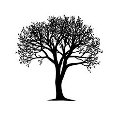 Obraz premium On a white background a single tree's simple black modern silhouette is isolated