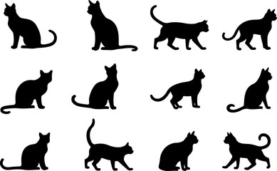 Black Cat Silhouette Collection vector
