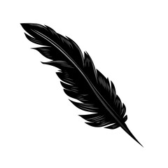Fototapeta premium A detailed modern illustration featuring a solitary feather set against a plain white backdrop in black and white