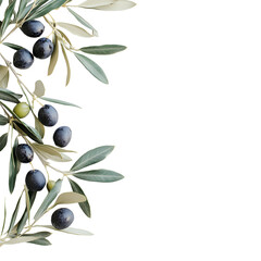 Elegant Olive Branch with Green and Black Olives on White Background