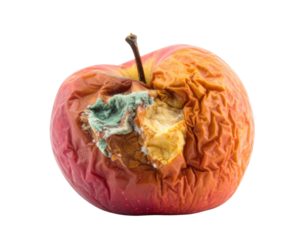 A close-up of a deteriorated apple showing wrinkles and mold, illustrating decay and the passage of time.
