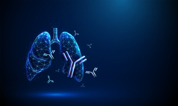 Human lungs with flying antibodies Antibody-mediated transplant rejection, autoimmune lung disease, respiratory immunotherapy concept