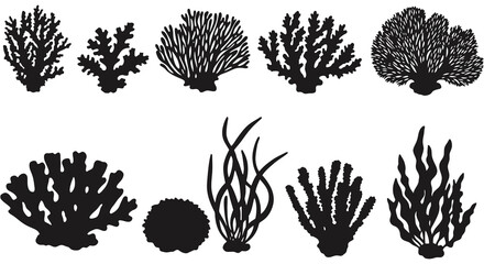 Silhouette Collection of Coral and Seaweed for Underwater Ocean Designs