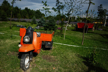 Vintage orange scooter in a green park surrounded by lush nature