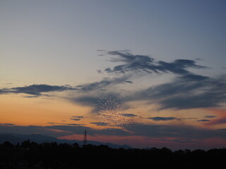 夕空に映える打ち上げ花火（八王子花火大会）