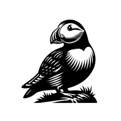 Atlantic puffin bird in a black and white graphic style.