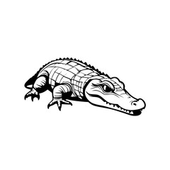 crocodile isolated on white background