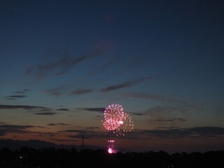 夕空に映える打ち上げ花火（八王子花火大会）