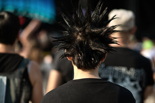 Outdoor live punk rock festival scene showing a person with a sharply styled spiked black hairstyle standing among other attendees in a crowded concert area under sunlight, reflecting alternative musi