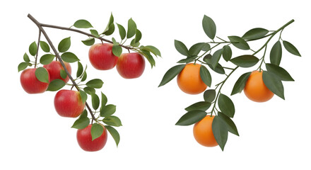 Apples and oranges on branches