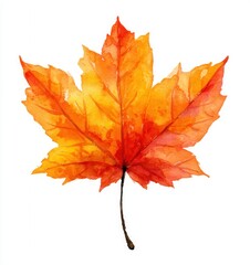 Obraz premium elegant hello autumn modern typography. gold leaves and branches