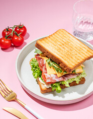 Club sandwich of toast bread with bacon, cheese, tomatoes, lettuce, arugula and sauce in a plate