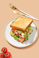 Club sandwich of toast bread with bacon, cheese, tomatoes, lettuce, arugula and sauce in a plate