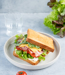 Club sandwich of toast bread with bacon, cheese, tomatoes, lettuce, arugula and sauce in a plate