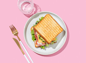 Club sandwich of toast bread with bacon, cheese, tomatoes, lettuce, arugula and sauce in a plate