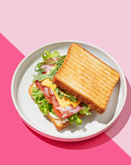 Club sandwich of toast bread with bacon, cheese, tomatoes, lettuce, arugula and sauce in a plate