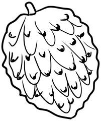 Cherimoya Fruit Vector Outline Line Art Drawing