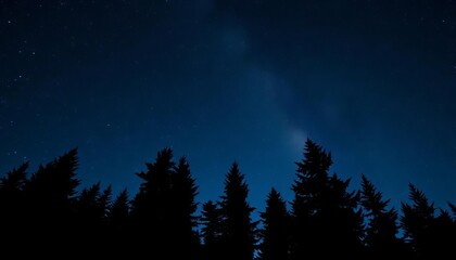 Fototapeta premium Silhouette of evergreen coniferous trees against a night sky , pine, dark background