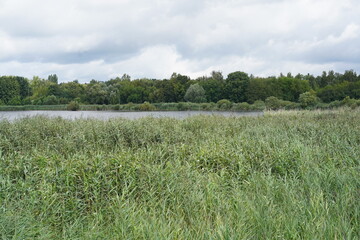 Sommerlandschaft der Moorlinse Buch in Berlin