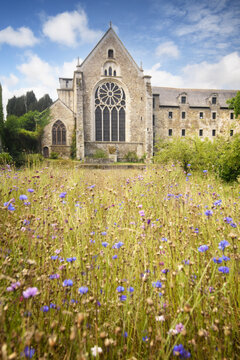 Fa&ccedil;ade d'abbaye en vue verticale avec pr&eacute; et fleurs au premier plan, Saint-Magloire de Lehon en Bretagne, c&ocirc;tes d'Armor