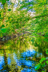 The Orbieu River in French Occitania. Its source is in the Corbières in Aude.
