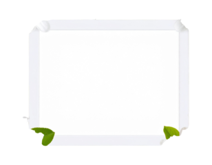 White frame background, flower border with apple blossom on the edges of the photo, t