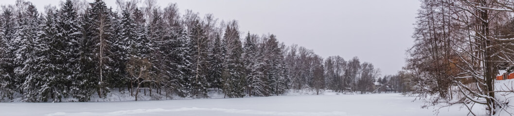 Panorama with a view of the coniferous forest in winter. View of a frozen lake and a snow-covered forest. Nature in winter. Snowdrifts and trees . © Eduard Belkin