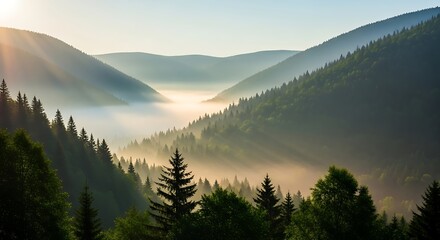 Obraz premium Majestic Mountain Valley at Sunrise with Fog and Sun Rays