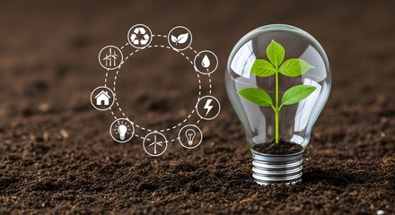 Exploring sustainable energy solutions plant growing in light bulb renewable energy concept ideas