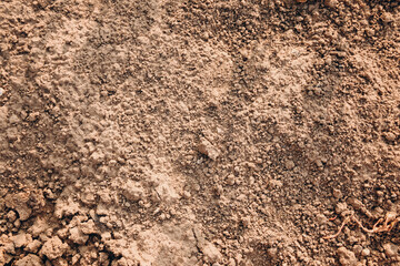 Fertile black soil close-up, rich earth texture, agricultural background
