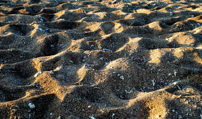 Beach sand texture close up