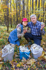 happy middle-aged couple in autumn forest picking milk mushrooms