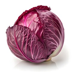 Obraz premium Red Express Cabbage Compact Deep Purple Heirloom with Smooth Rounded Leaves and Crisp Texture on Clean White Background, Highlighting Vibrant Color and Fresh Garden Appeal