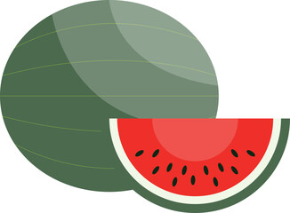 vector illustration of a watermelon fruit